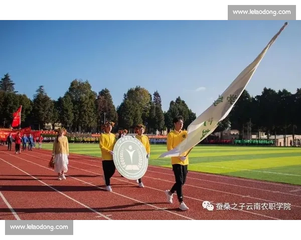 赛场传奇再现辉煌瞬间激励无数追梦勇者