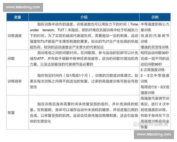 体育科学视角下运动表现提升与运动康复策略研究 体育科学视角下运动表现提升与运动康复策略研究